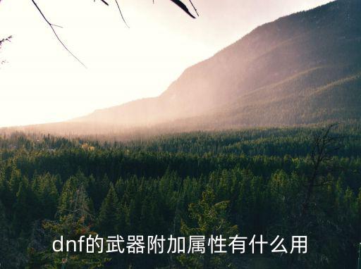 dnf的武器附加属性有什么用