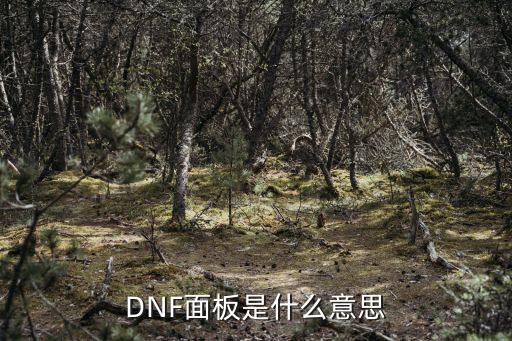 DNF面板是什么意思