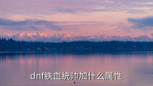 dnf铁血统帅加什么属性