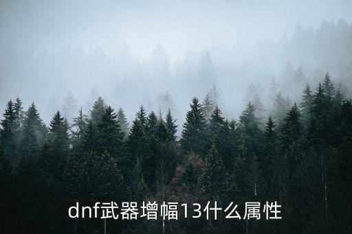 dnf武器增幅13什么属性