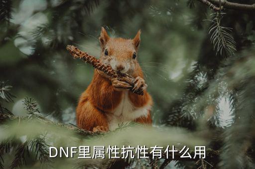 DNF属性抗性什么，DNF中属性抗性是什么意思