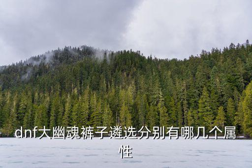dnf大幽魂裤子遴选分别有哪几个属性