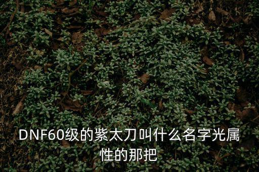 DNF60级的紫太刀叫什么名字光属性的那把