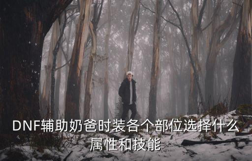 DNF辅助奶爸时装各个部位选择什么属性和技能