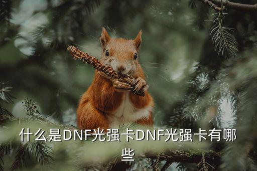 dnf光属性强化卡叫什么，DNF 光属性强化卡片最高的加几叫什么
