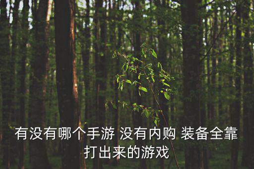 有没有哪个手游 没有内购 装备全靠打出来的游戏