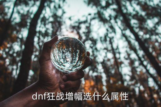 dnf增幅什么属性，dnf狂战增幅选什么属性