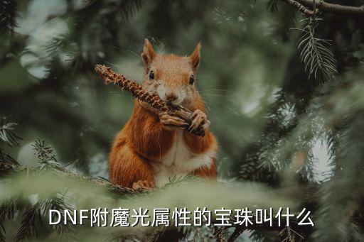 dnf什么宝珠光属性，DNF附魔光属性的宝珠叫什么