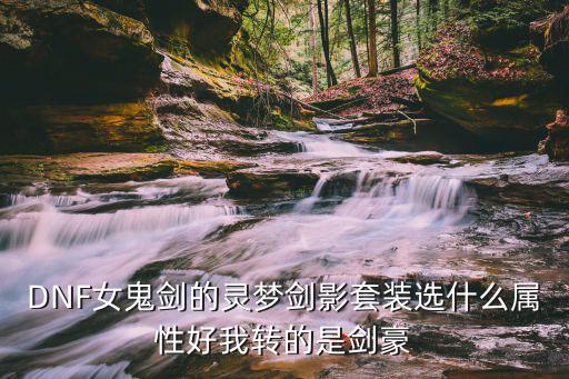 DNF女鬼剑的灵梦剑影套装选什么属性好我转的是剑豪