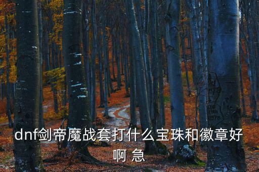 dnf剑帝宝珠打什么属性，dnf剑帝魔战套打什么宝珠和徽章好啊 急
