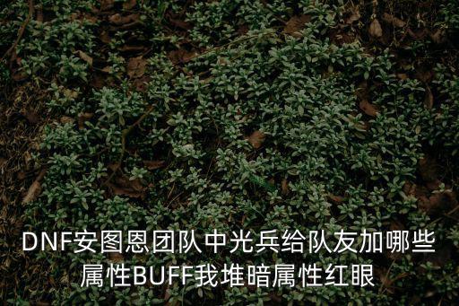 DNF安图恩团队中光兵给队友加哪些属性BUFF我堆暗属性红眼