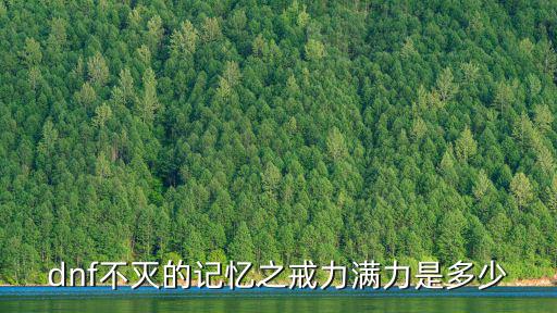 dnf不灭的记忆之戒力满力是多少