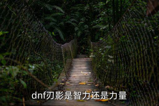 dnf刃影逆转走什么属性，dnf刃影是智力还是力量