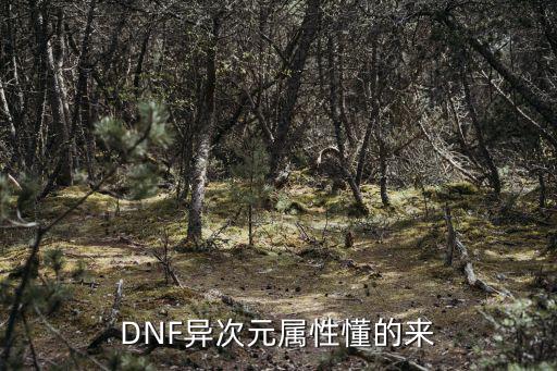 dnf 什么是异次元属性，异次元属性有什么作用