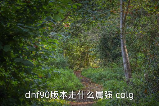 dnf90版本走什么属强 colg