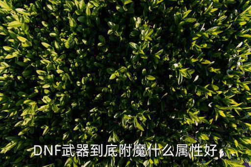 DNF武器到底附魔什么属性好