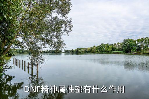 dnf精神属性属于什么，地下城中说的精神指的是什么