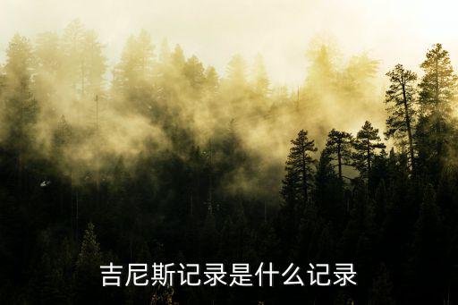 吉尼斯记录是什么记录