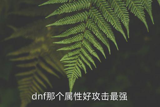 dnf最好的属性是什么，dnf最好属性是什麽