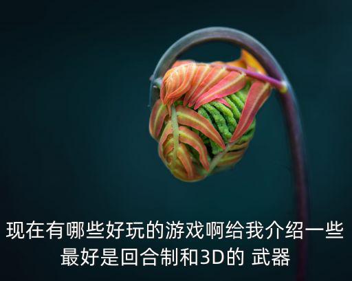 现在有哪些好玩的游戏啊给我介绍一些最好是回合制和3D的 武器