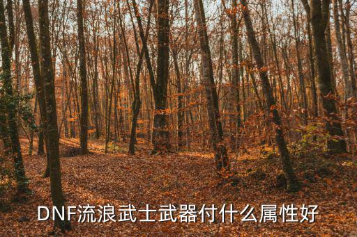 DNF流浪武士武器付什么属性好