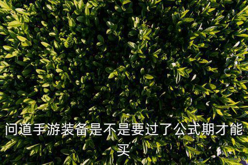 问道手游装备是不是要过了公式期才能买