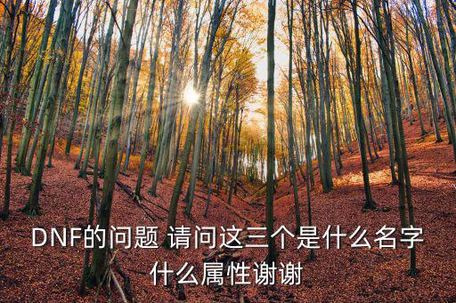 DNF的问题 请问这三个是什么名字什么属性谢谢