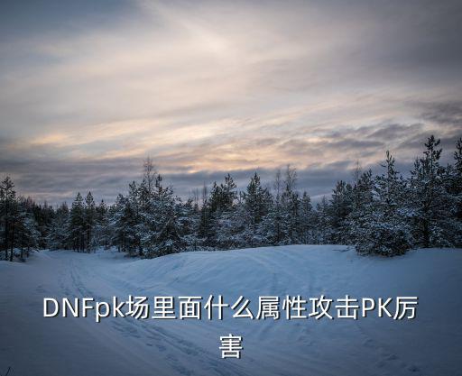 DNFpk场里面什么属性攻击PK厉害