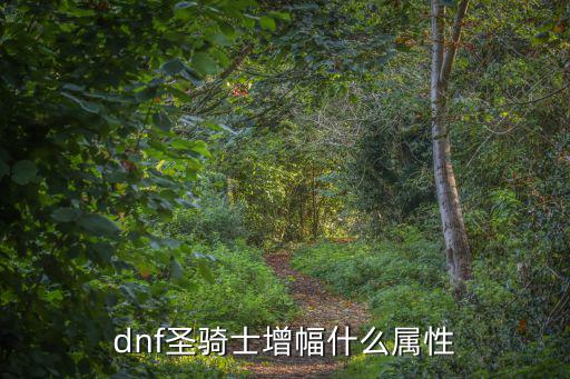 dnf圣骑士增幅什么属性