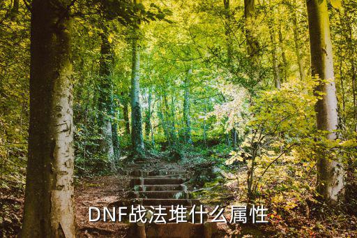 dnf战法用什么属性，DNF战法堆什么属性