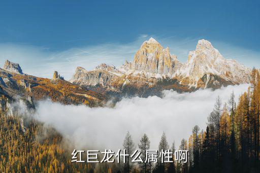 红巨龙什么属性啊