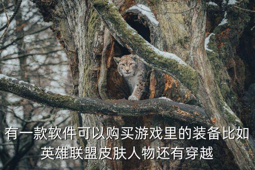 有一款软件可以购买游戏里的装备比如英雄联盟皮肤人物还有穿越