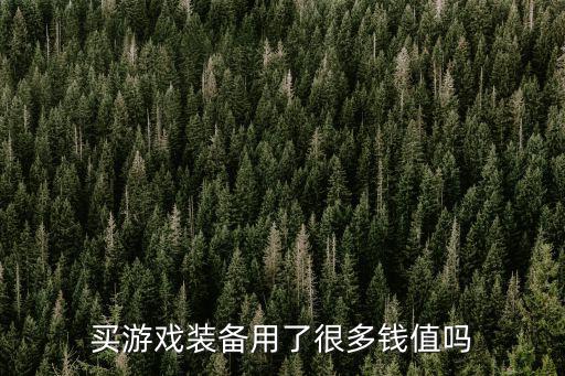 买游戏装备用了很多钱值吗