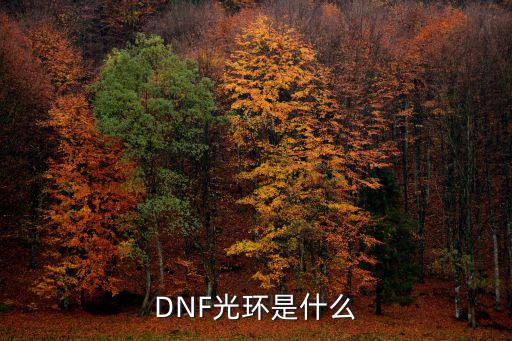 dnf 赛季光环什么属性，dnf心悦光环1和2的区别