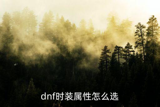 dnf暗刃装扮选什么属性，DNF暗刃加什么属性