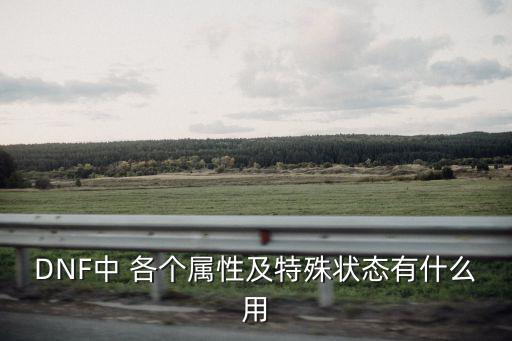DNF中 各个属性及特殊状态有什么用