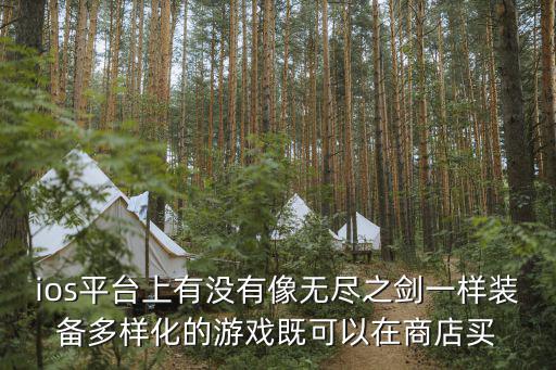 ios平台上有没有像无尽之剑一样装备多样化的游戏既可以在商店买