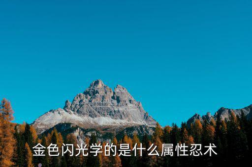 金色闪光学的是什么属性忍术