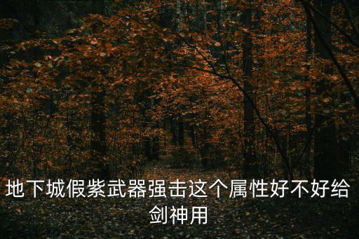 地下城假紫武器强击这个属性好不好给剑神用