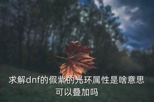 求解dnf的假紫的光环属性是啥意思可以叠加吗