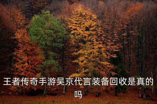 王者传奇手游吴京代言装备回收是真的吗