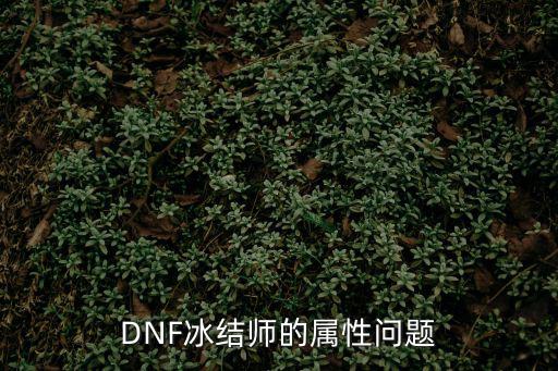 DNF冰结师的属性问题