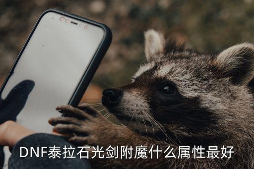 DNF泰拉石光剑附魔什么属性最好