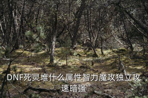 DNF死灵堆什么属性智力魔攻独立攻速暗强