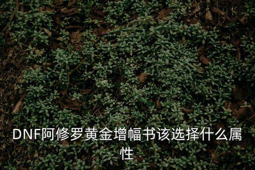 DNF阿修罗黄金增幅书该选择什么属性