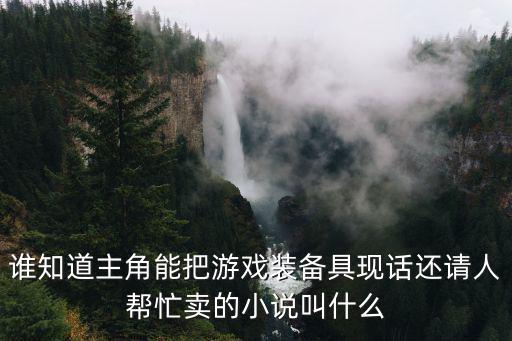 可以放游戏装备的柜子叫什么，边境之旅永不磨损装备怎么放进柜子里