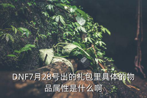 DNF7月28号出的礼包里具体的物品属性是什么啊
