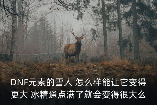 DNF元素的雪人 怎么样能让它变得更大 冰精通点满了就会变得很大么