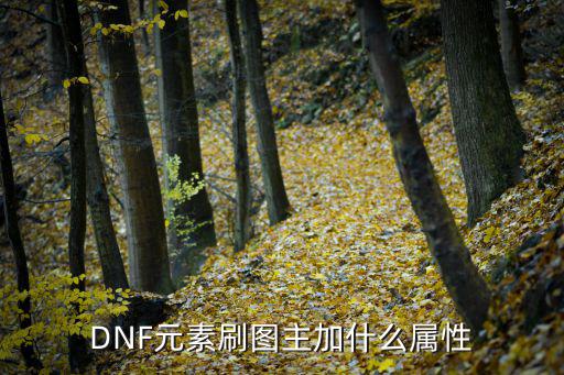 dnf元素师首选什么属性，DNF 元素师 选择什么属性最好呢