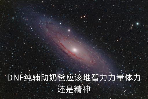 DNF纯辅助奶爸应该堆智力力量体力还是精神